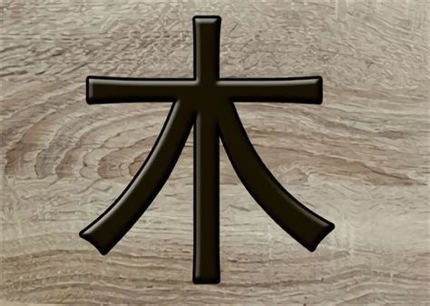 五行木多的人|八字木多代表什么 八字木多的人命好不好